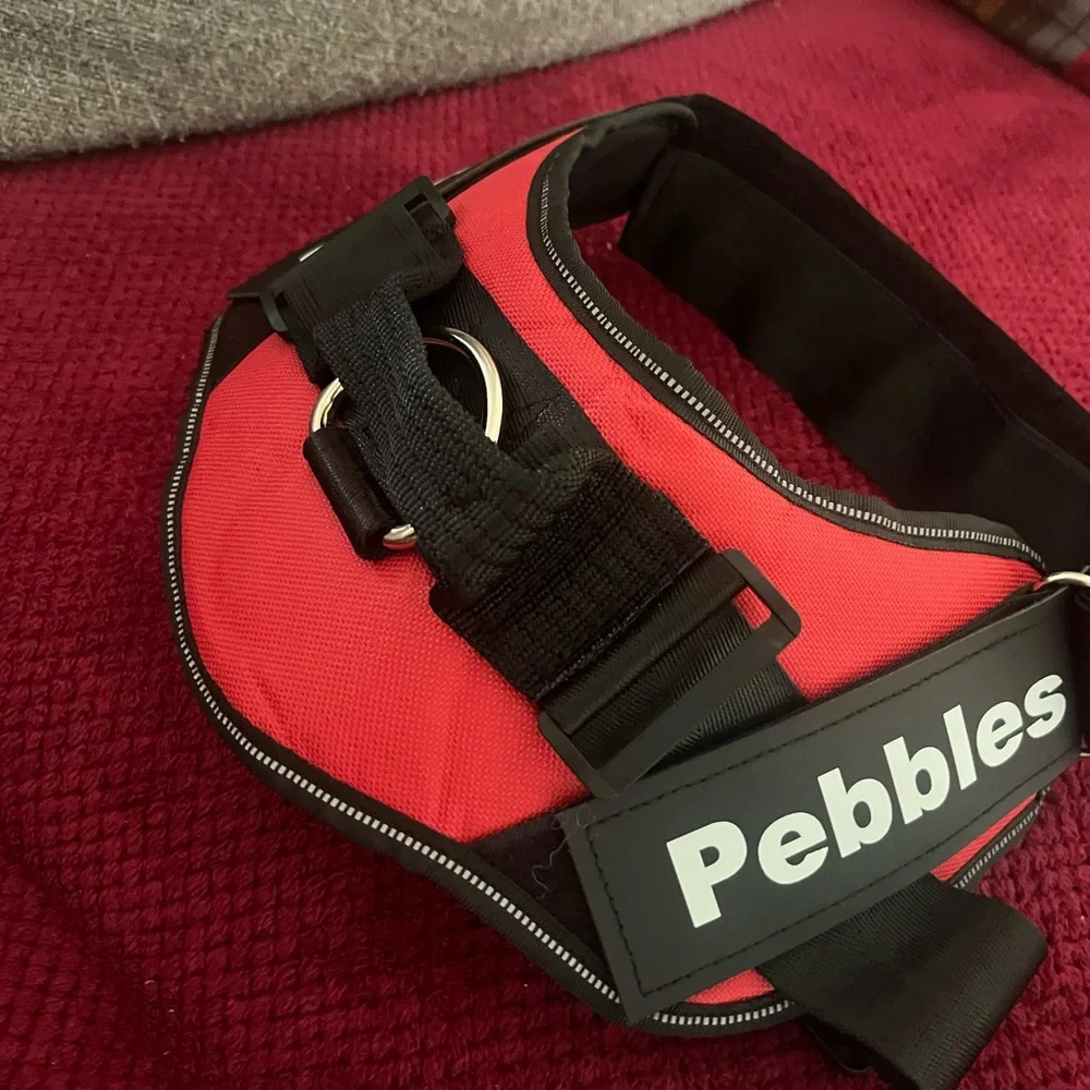 Red and Black Pebbles Dog Harness